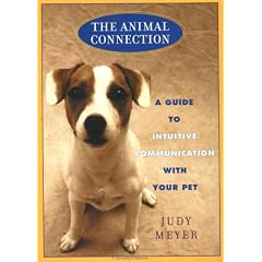 The Animal Connection