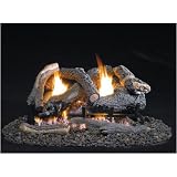 Gas Logs