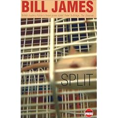 Split (Simon Abelard of British Intelligence Series)