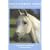 Teach Yourself Horse: Natural Horse Management