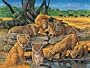 Pride of Lions Jigsaw Puzzle 100pc