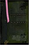 Little Black Book of Stories (Vintage International)