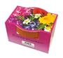 Minipflanzset Bunte Blumen