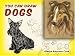 Book You Can Draw Dogs (You Can Draw)