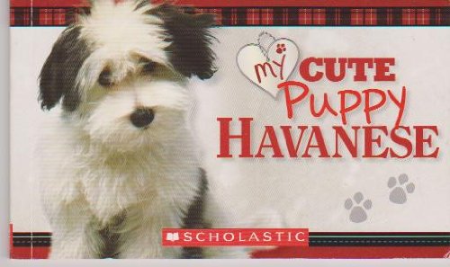 My Cute Puppy Havanese