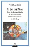 Revue Dervy  / Le sel des rêves : Une refondation spirituelle de la psychothérapie par une lecture nouvelle de C.G. Jung
