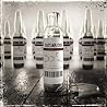 Bild des Albums von Lacuna Coil