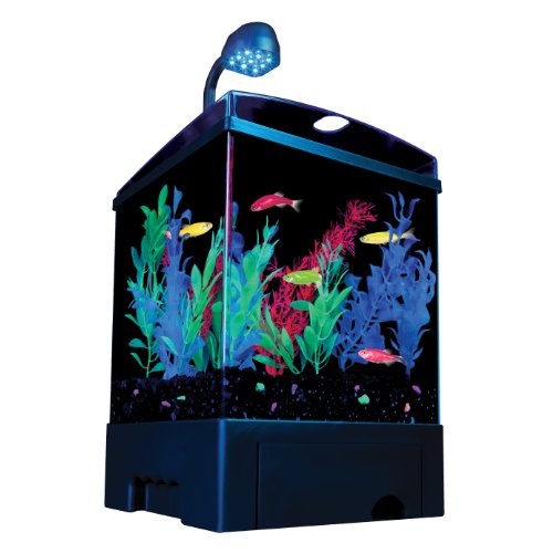Tetra GloFish Aquarium Kit, 1-1/2-Gallon