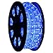 50' LED Rope Light Blue Home Outdoor Christmas Decorative Lighting 110v