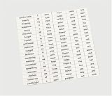 Set of magnetic words - fun, suggestive and in very good taste!