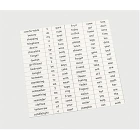 Set of magnetic words - fun, suggestive and in very good taste!