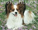Just Papillons 2007 Calendar