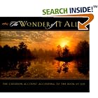 The Wonder of It All: The Creation Account According to the Book of Job by  Steve Terrill