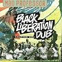 Black Liberation Dub, Chapter One