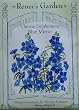Delphinium Chinese Blue Mirror Seeds 50 Seeds