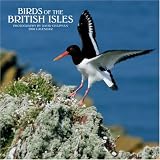 Birds of the British Isles 2008 Square Wall Calendar