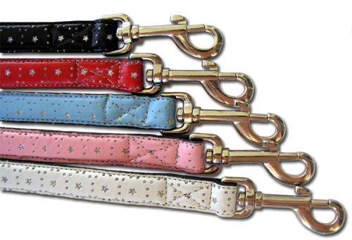Small Blue Star Padded leather dog leash