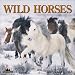 Book Wild Horses Calendar (2003)
