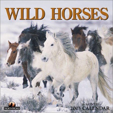 wild horses calendar 2003