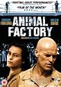 Animal Factory [DVD] [2003]