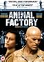 Animal Factory