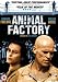 DVD : Animal Factory [UK IMPORT]
