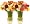 Mini-Ranunculus Flower Bouquet - 60 Stems - Free Fast Shipping - Fresh Cut from California