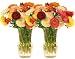 Ranunculus Flower Bouquet - 60 Stems - Free Fast Shipping - Fresh Cut from California