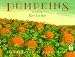 Pumpkins: A Story for a Field