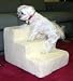 3 Step Doggy Steps Pet Stairs Dog Ramp +1 FREE COVER 13"H x 16" W x 18" D
