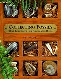 Collecting Fossils: Hold Prehistory in the Palm of Your Hand