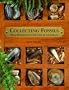 Collecting Fossils: Hold Prehistory in the Palm of Your Hand