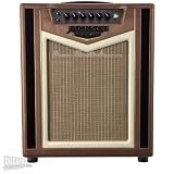 Jackson Ampworks Britain 4.0 Combo - Copper & Ivory