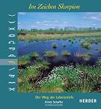 Im Zeichen Skorpion. Der Weg der Lebenstiefe - Ulrich Schaffer