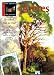 Arbres : 12 modeles etape par etape