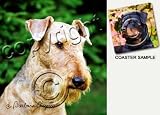 Airedale Terrier Dog Drink Coasters