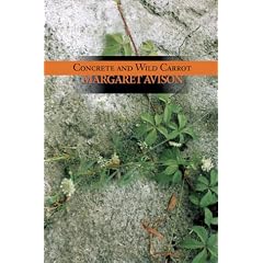 Concrete and Wild Carrot