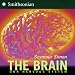 The Brain: Our Nervous System