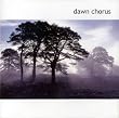 Dawn Chorus