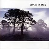 Music : Dawn Chorus