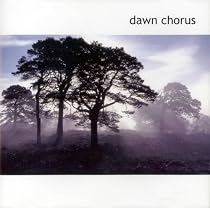 Dawn Chorus