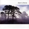 Dawn Chorus
