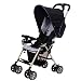 Combi Flare Lightweight Stroller, Violet 2010