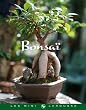Bonsa�
