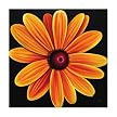 Zoe 1116 Original Hand-Painted Oil on Canvas by Carl Sebastian- 32x32"