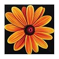 Zoe 1116 Original Hand-Painted Oil on Canvas by Carl Sebastian- 32x32"