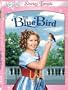 Blue Bird