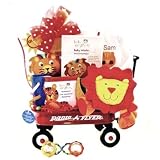 Wild Wilderness Baby Einstein Gift Basket