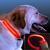 LEMIX (M1O) MITTELGROSSES LED HUNDEHALSBAND. Hergestellt aus starkem ORANGEM Nylongewebe. Das mittelgroße Halsband kann auf 45cm bis 55cm eingestellt werden und ist 2,5 cm weit. Es hat 3 LED-Betriebsweisen und ist nachts auf bis zu 300 m sichtbar. Zwei Ersatzbatterien sind inklusive. Bitte schauen Sie sich unsere weiteren Artikel an für andere Größen, Farben und Muster.
