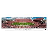 South Carolina Gamecocks Unframed Panoramic
